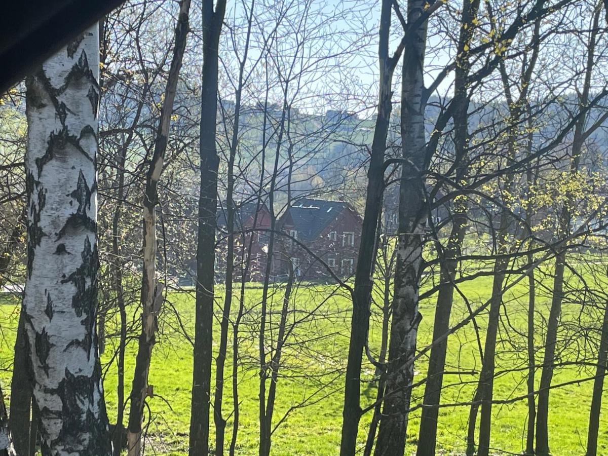 Vceli Chata Mirda Pirda Dolní Moravice Esterno foto