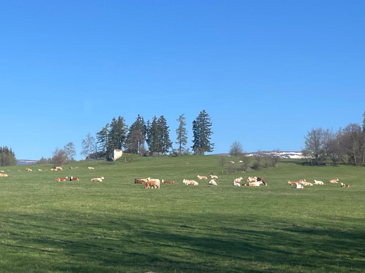 Vceli Chata Mirda Pirda Dolní Moravice Esterno foto